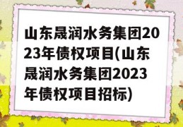 山东晟润水务集团2023年债权项目(山东晟润水务集团2023年债权项目招标)