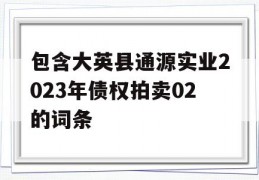 包含大英县通源实业2023年债权拍卖02的词条