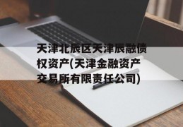 天津北辰区天津辰融债权资产(天津金融资产交易所有限责任公司)