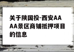 关于陕国投-西安AAAA景区商铺抵押项目的信息