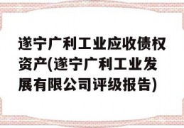 遂宁广利工业应收债权资产(遂宁广利工业发展有限公司评级报告)