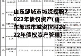 山东邹城市城资控股2022年债权资产(山东邹城市城资控股2022年债权资产管理)