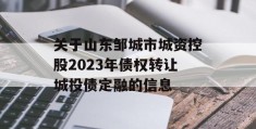 关于山东邹城市城资控股2023年债权转让城投债定融的信息