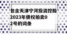 包含天津宁河投资控股2023年债权拍卖02号的词条