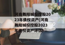 河南舞阳城投控股2023年债权资产(河南舞阳城投控股2023年债权资产评估)