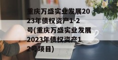 重庆万盛实业发展2023年债权资产1-2号(重庆万盛实业发展2023年债权资产12号项目)
