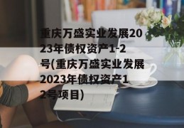 重庆万盛实业发展2023年债权资产1-2号(重庆万盛实业发展2023年债权资产12号项目)