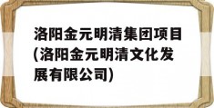 洛阳金元明清集团项目(洛阳金元明清文化发展有限公司)