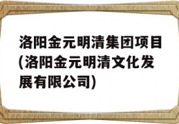 洛阳金元明清集团项目(洛阳金元明清文化发展有限公司)