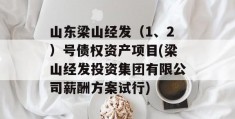 山东梁山经发（1、2）号债权资产项目(梁山经发投资集团有限公司薪酬方案试行)