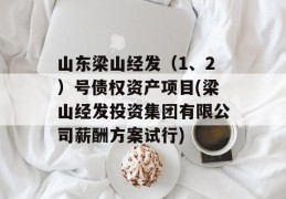 山东梁山经发（1、2）号债权资产项目(梁山经发投资集团有限公司薪酬方案试行)