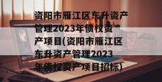 资阳市雁江区东升资产管理2023年债权资产项目(资阳市雁江区东升资产管理2023年债权资产项目招标)