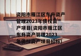 资阳市雁江区东升资产管理2023年债权资产项目(资阳市雁江区东升资产管理2023年债权资产项目招标)