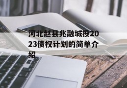 河北赵县兆融城投2023债权计划的简单介绍