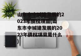 山东市中城建发展的2023年债权项目(山东市中城建发展的2023年债权项目是什么)