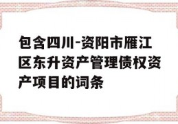 包含四川-资阳市雁江区东升资产管理债权资产项目的词条