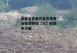 成都金堂县兴金开发建设投资债权【六】的简单介绍