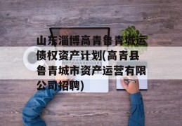 山东淄博高青鲁青城运债权资产计划(高青县鲁青城市资产运营有限公司招聘)