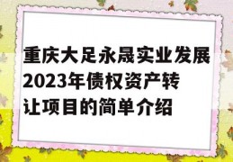 重庆大足永晟实业发展2023年债权资产转让项目的简单介绍