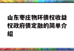 山东枣庄物环债权收益权政府债定融的简单介绍