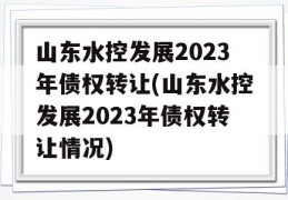 山东水控发展2023年债权转让(山东水控发展2023年债权转让情况)