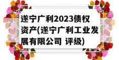 遂宁广利2023债权资产(遂宁广利工业发展有限公司 评级)