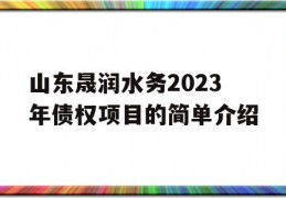 山东晟润水务2023年债权项目的简单介绍