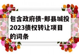 包含政府债-郏县城投2023债权转让项目的词条