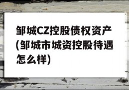 邹城CZ控股债权资产(邹城市城资控股待遇怎么样)