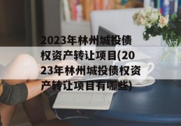 2023年林州城投债权资产转让项目(2023年林州城投债权资产转让项目有哪些)