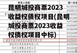 昆明城投商票2023收益权债权项目(昆明城投商票2023收益权债权项目中标)