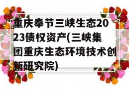 重庆奉节三峡生态2023债权资产(三峡集团重庆生态环境技术创新研究院)