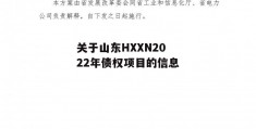 关于山东HXXN2022年债权项目的信息