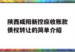 陕西咸阳新控应收账款债权转让的简单介绍