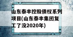 山东泰丰控股债权系列项目(山东泰丰集团复工了没2020年)