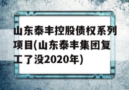 山东泰丰控股债权系列项目(山东泰丰集团复工了没2020年)