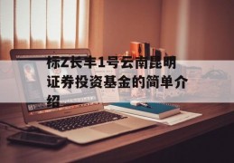 标Z长丰1号云南昆明证券投资基金的简单介绍