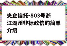 央企信托-803号浙江湖州非标政信的简单介绍