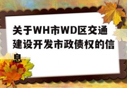 关于WH市WD区交通建设开发市政债权的信息