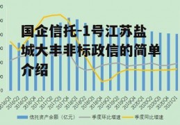 国企信托-1号江苏盐城大丰非标政信的简单介绍