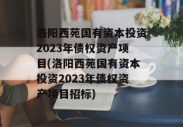 洛阳西苑国有资本投资2023年债权资产项目(洛阳西苑国有资本投资2023年债权资产项目招标)