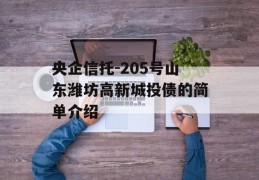 央企信托-205号山东潍坊高新城投债的简单介绍