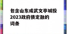 包含山东成武文亭城投2023政府债定融的词条