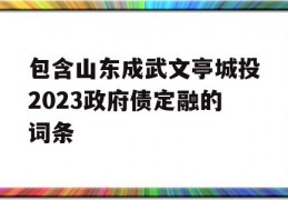 包含山东成武文亭城投2023政府债定融的词条