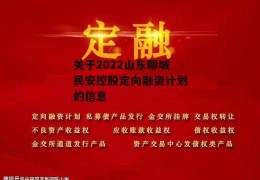 关于2022山东聊城民安控股定向融资计划的信息