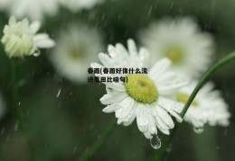 春雨(春雨好像什么流进麦田比喻句)