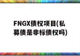 FNGX债权项目(私募债是非标债权吗)