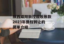 陕西咸阳新控应收账款2023年债权转让的简单介绍