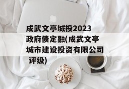 成武文亭城投2023政府债定融(成武文亭城市建设投资有限公司 评级)