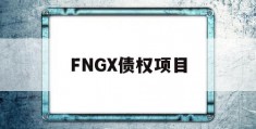 FNGX债权项目